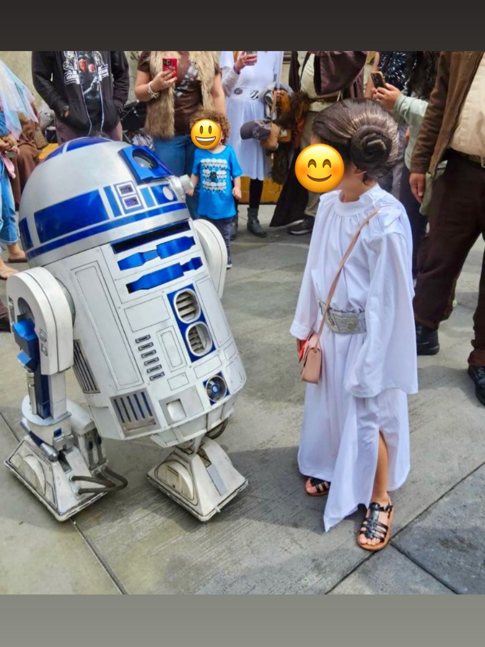 Star Wars Princess Leia Costume - Picture 5 of 5